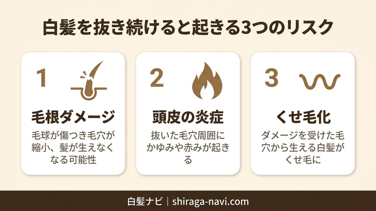 白髪を抜き続けると起きる3つのリスク（毛根ダメージ・頭皮の炎症・くせ毛化）の図解